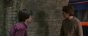 CS-Potterish_01591.jpg