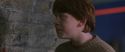 CS-Potterish_01606.jpg