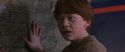 CS-Potterish_01614.jpg