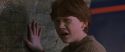 CS-Potterish_01616.jpg