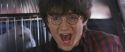CS-Potterish_01705.jpg