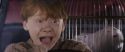 CS-Potterish_01706.jpg