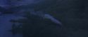 CS-Potterish_01775.jpg