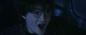 CS-Potterish_01806.jpg