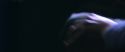 CS-Potterish_01812.jpg