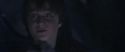 CS-Potterish_01855.jpg