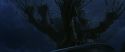 CS-Potterish_01908.jpg