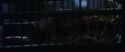 CS-Potterish_01945.jpg