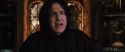 CS-Potterish_02026.jpg