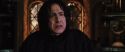 CS-Potterish_02028.jpg