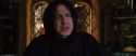 CS-Potterish_02035.jpg
