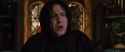 CS-Potterish_02038.jpg