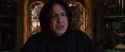 CS-Potterish_02039.jpg