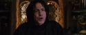 CS-Potterish_02040.jpg