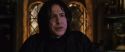 CS-Potterish_02041.jpg