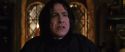 CS-Potterish_02047.jpg