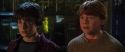 CS-Potterish_02058.jpg