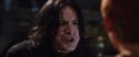 CS-Potterish_02061.jpg