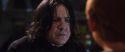 CS-Potterish_02063.jpg