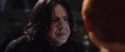 CS-Potterish_02064.jpg