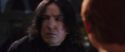 CS-Potterish_02065.jpg