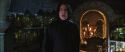 CS-Potterish_02073.jpg