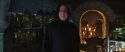 CS-Potterish_02074.jpg