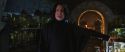 CS-Potterish_02078.jpg