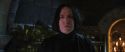 CS-Potterish_02090.jpg