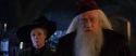 CS-Potterish_02093.jpg