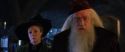 CS-Potterish_02095.jpg