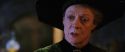 CS-Potterish_02116.jpg