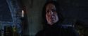 CS-Potterish_02127.jpg