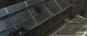 CS-Potterish_02147.jpg