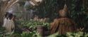 CS-Potterish_02156.jpg