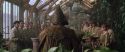 CS-Potterish_02162.jpg