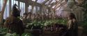 CS-Potterish_02170.jpg