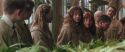 CS-Potterish_02174.jpg