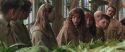 CS-Potterish_02175.jpg