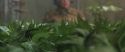 CS-Potterish_02200.jpg
