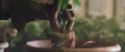 CS-Potterish_02228.jpg