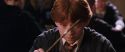 CS-Potterish_02294.jpg