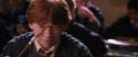 CS-Potterish_02297.jpg