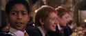 CS-Potterish_02311.jpg