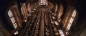 CS-Potterish_02315.jpg