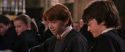 CS-Potterish_02326.jpg