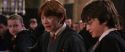 CS-Potterish_02329.jpg