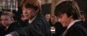 CS-Potterish_02330.jpg