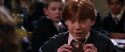 CS-Potterish_02361.jpg
