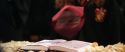 CS-Potterish_02368.jpg